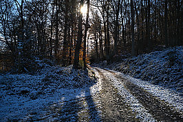 Ahrtal (6v9) - Bernhard Saalfeld - Lichtbildkunst